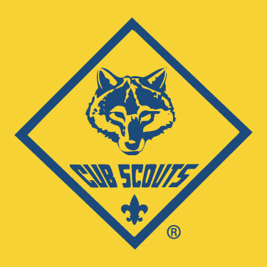 Cub Scouts